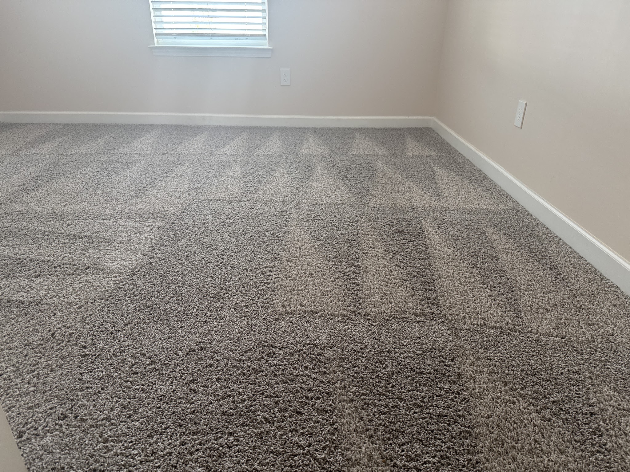 Clean carpet in an empty bedroom, with even cleaning lines across the pile